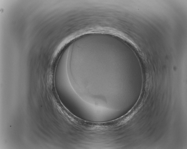 X0000085251506200703231636