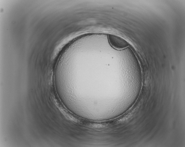 X0000085251507200703231636