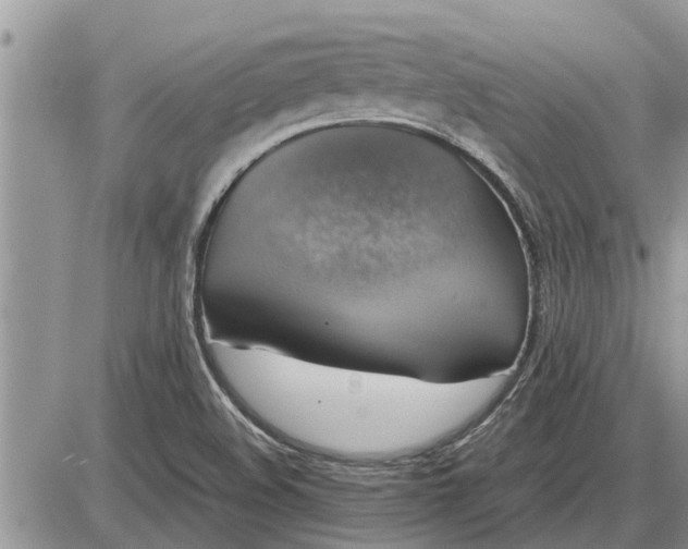 X0000085251508200703231636