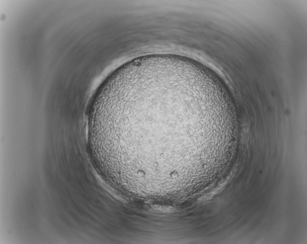 X0000085251509200703231636