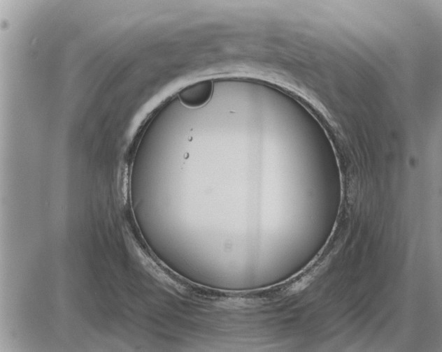 X0000085251510200703231636