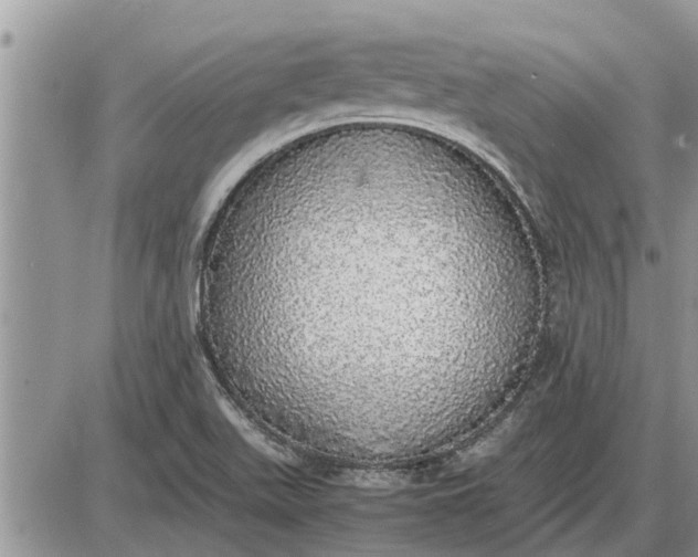 X0000085251511200703231636