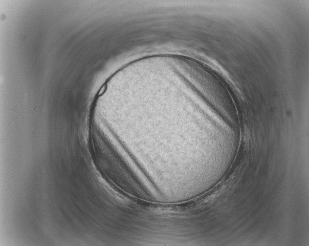 X0000085251512200703231636