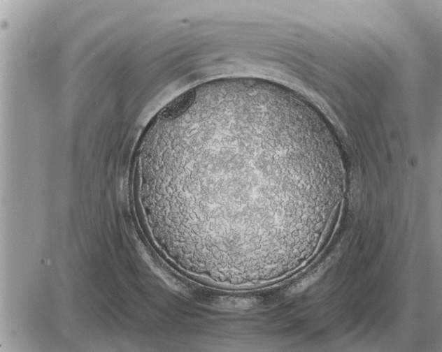 X0000085251513200703231636