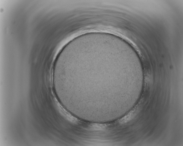 X0000085251514200703231636