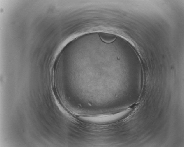 X0000085251515200703231636