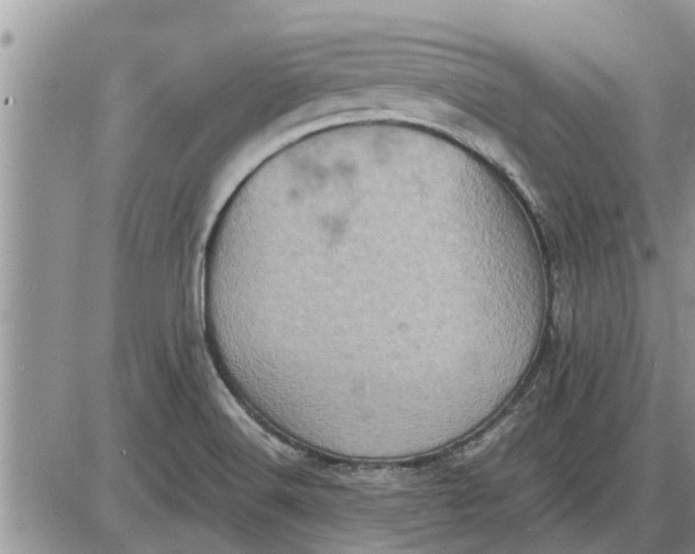 X0000085251516200703231636