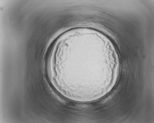 X0000085251517200703231636