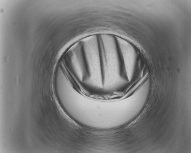 X0000085251518200703231636