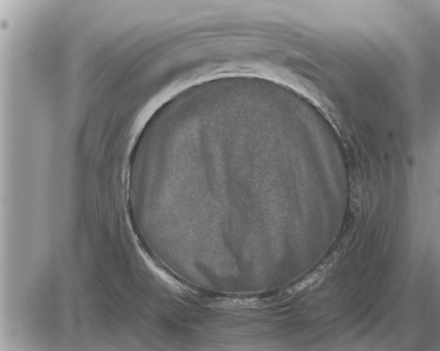 X0000085251519200703231636