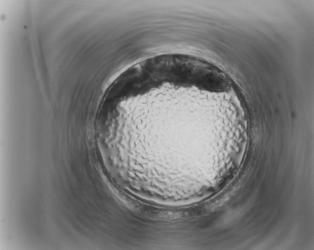 X0000085251521200703231637