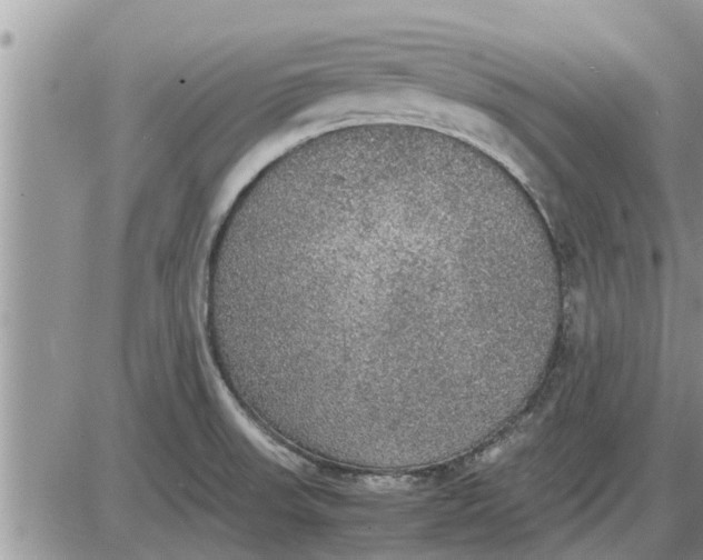 X0000085251523200703231637