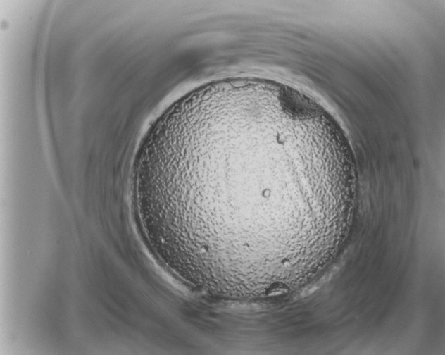 X0000085251525200703231637