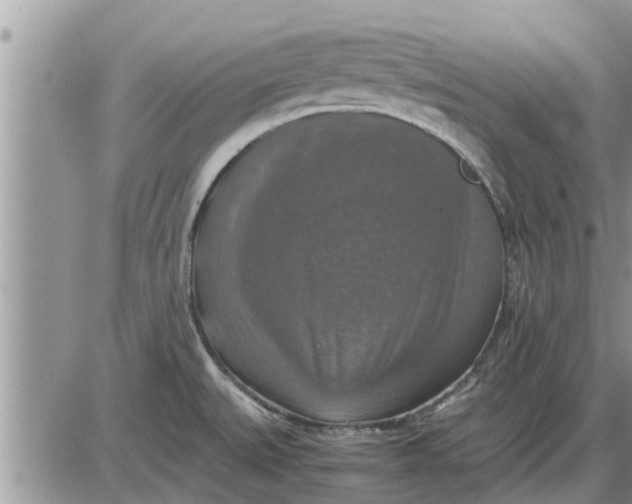 X0000085251527200703231637