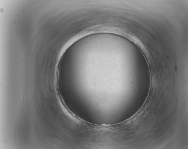 X0000085251528200703231637