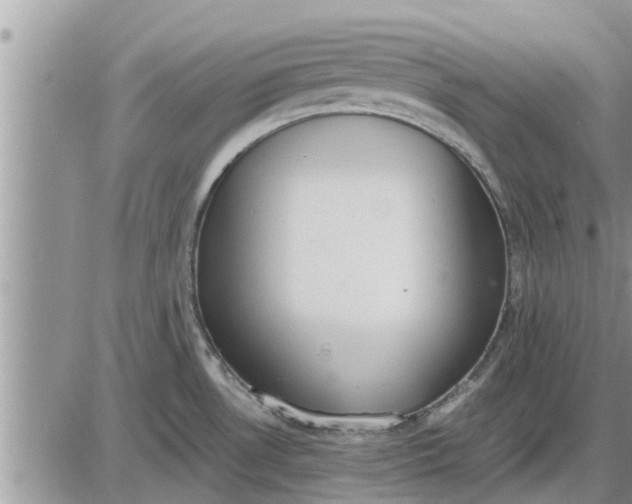 X0000085251530200703231637