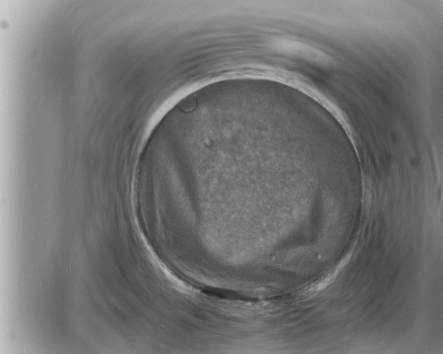 X0000085251533200703231637