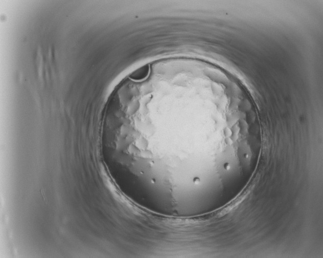 X0000085251534200703231637