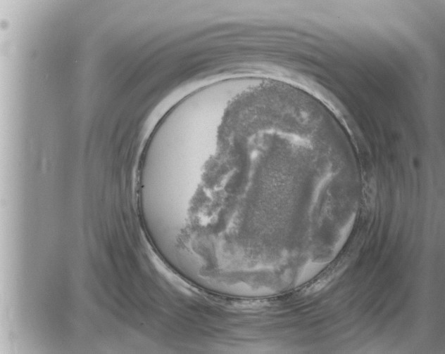 X0000085251535200703231637