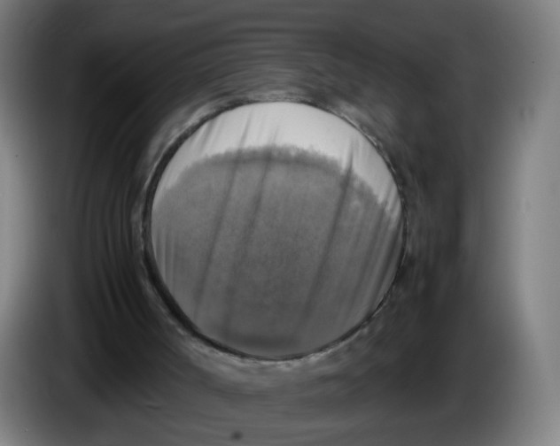 X0000085250002200703301820