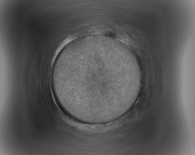 X0000085250003200703301820