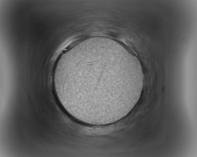 X0000085250005200703301820