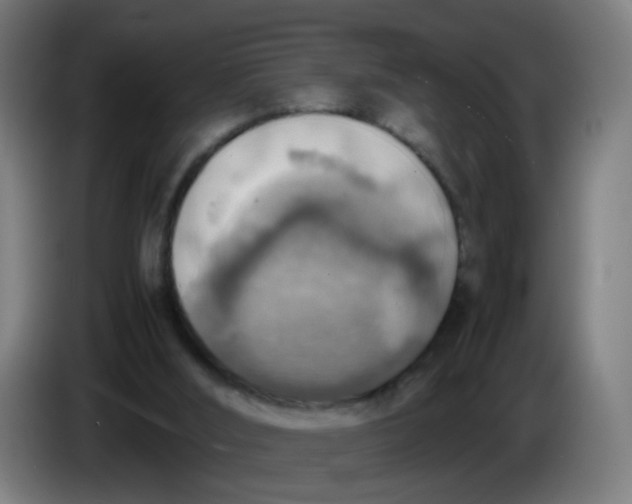 X0000085250012200703301820