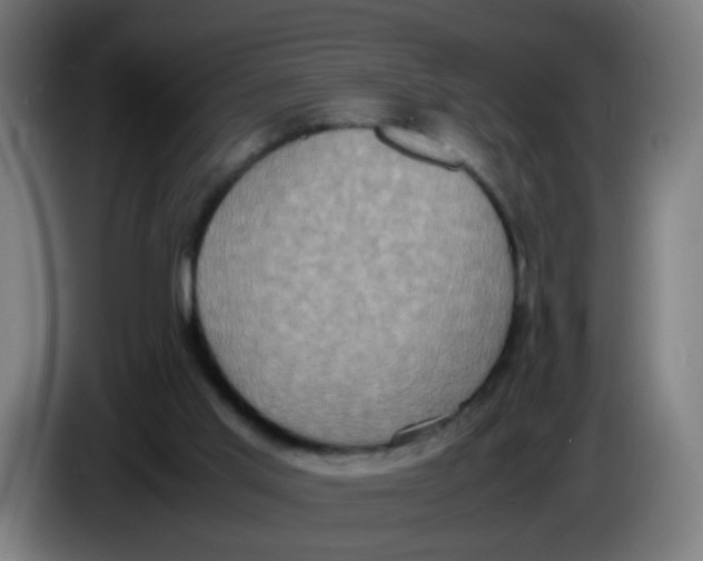 X0000085250013200703301820