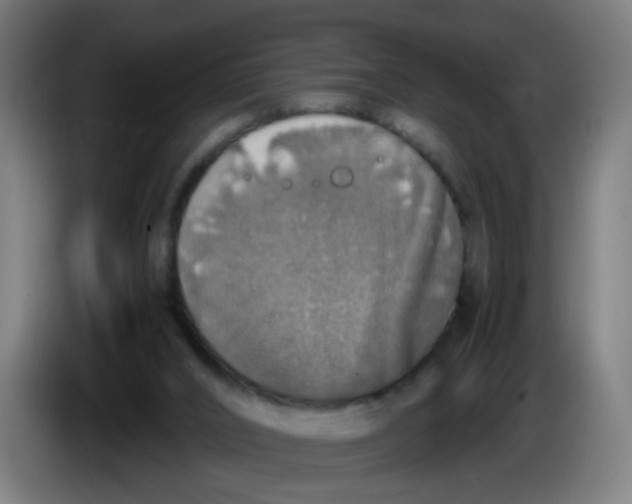 X0000085250016200703301820