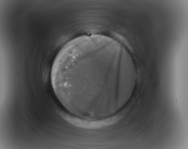 X0000085250018200703301820