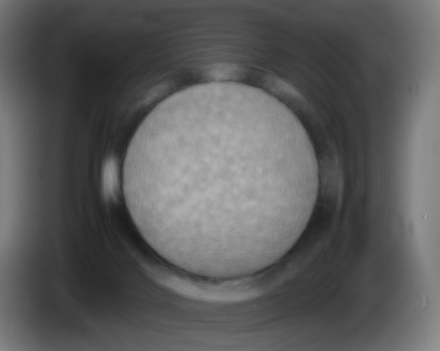 X0000085250028200703301820