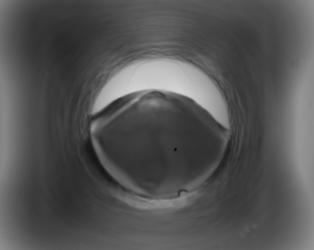 X0000085250031200703301820