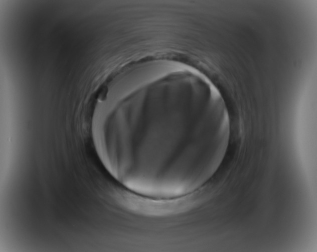 X0000085250039200703301820