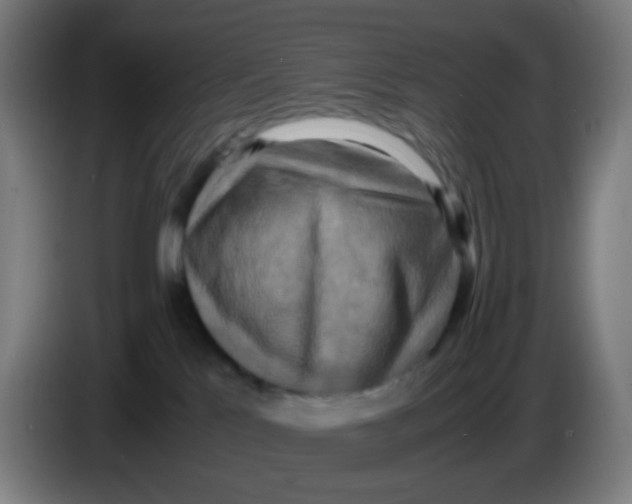 X0000085250041200703301820