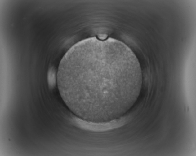 X0000085250042200703301820