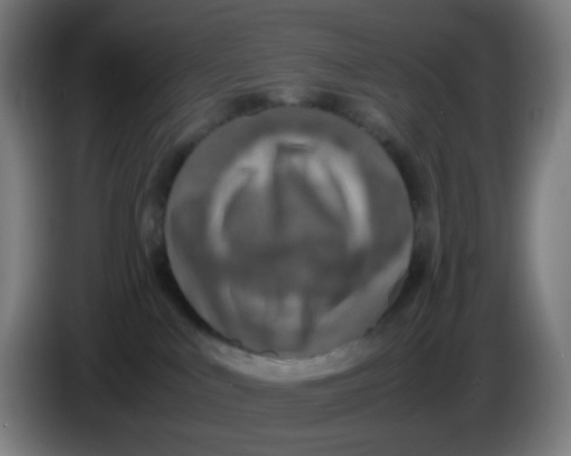 X0000085250043200703301820