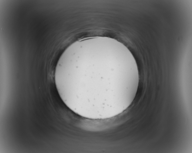 X0000085250045200703301820