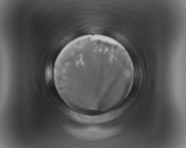 X0000085250046200703301820