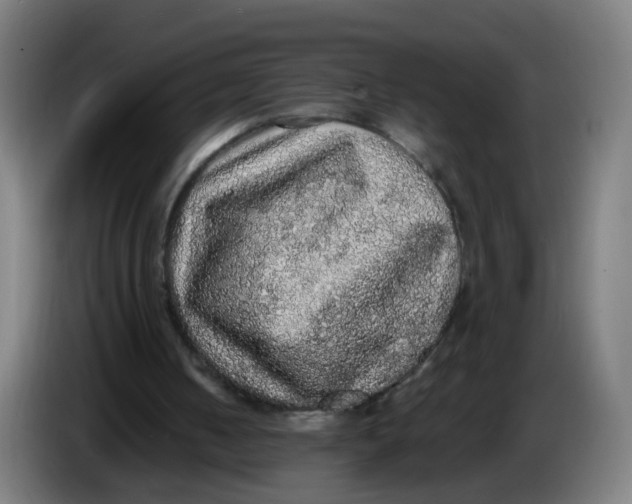 X0000085250050200703301819