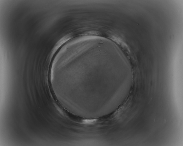 X0000085250051200703301819