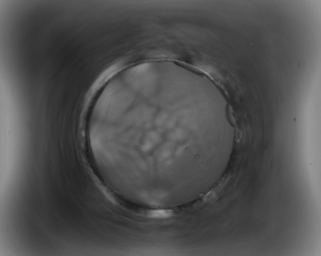 X0000085250053200703301819