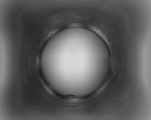 X0000085250057200703301819