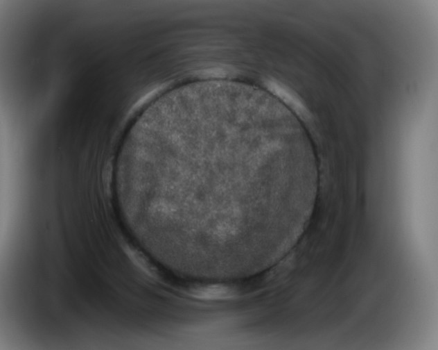 X0000085250058200703301819