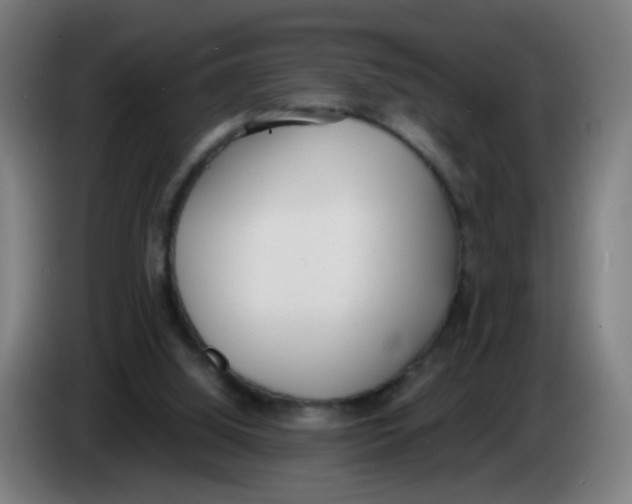 X0000085250060200703301819