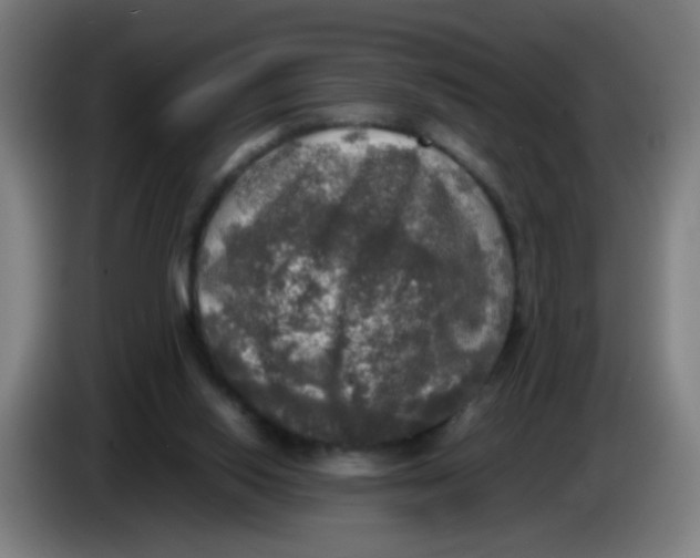 X0000085250062200703301819