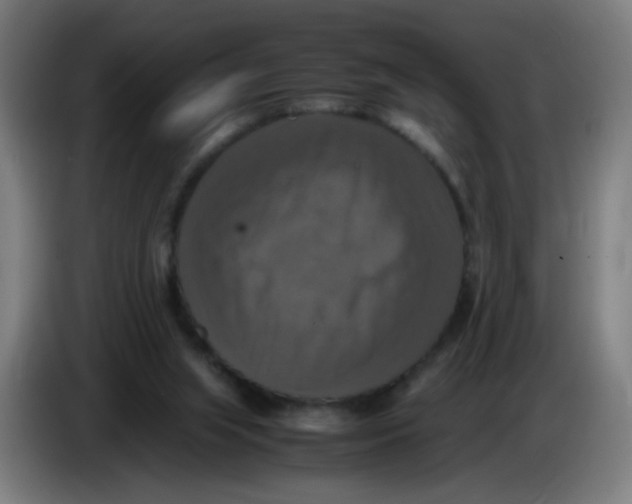 X0000085250063200703301819