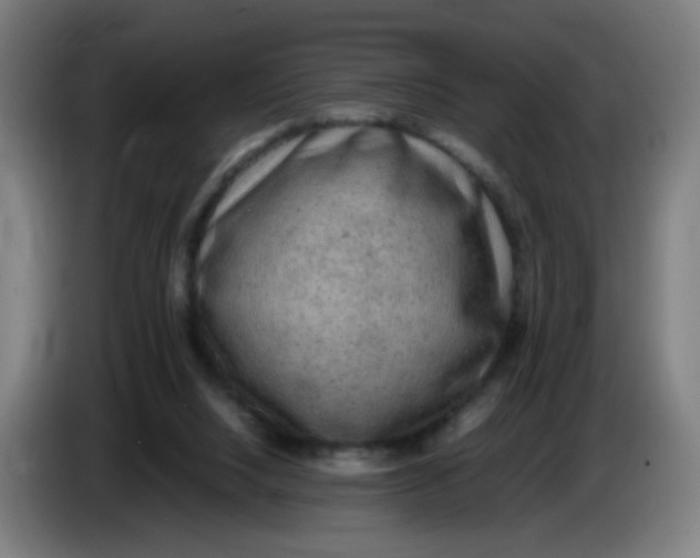 X0000085250064200703301819