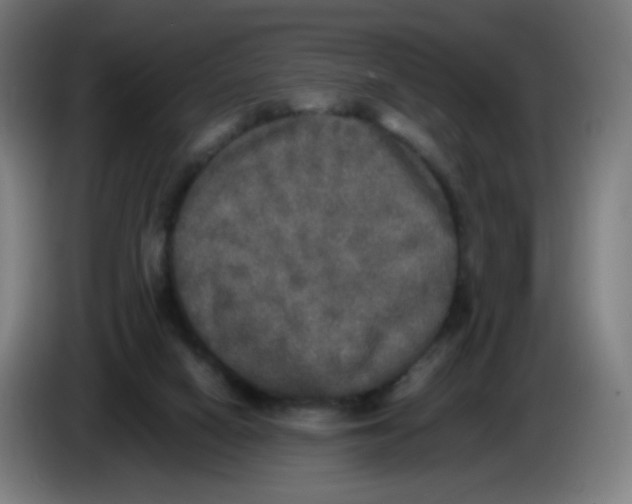 X0000085250066200703301819