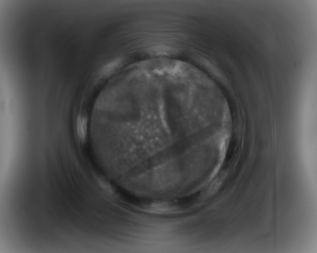 X0000085250070200703301819