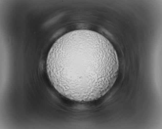 X0000085250071200703301819